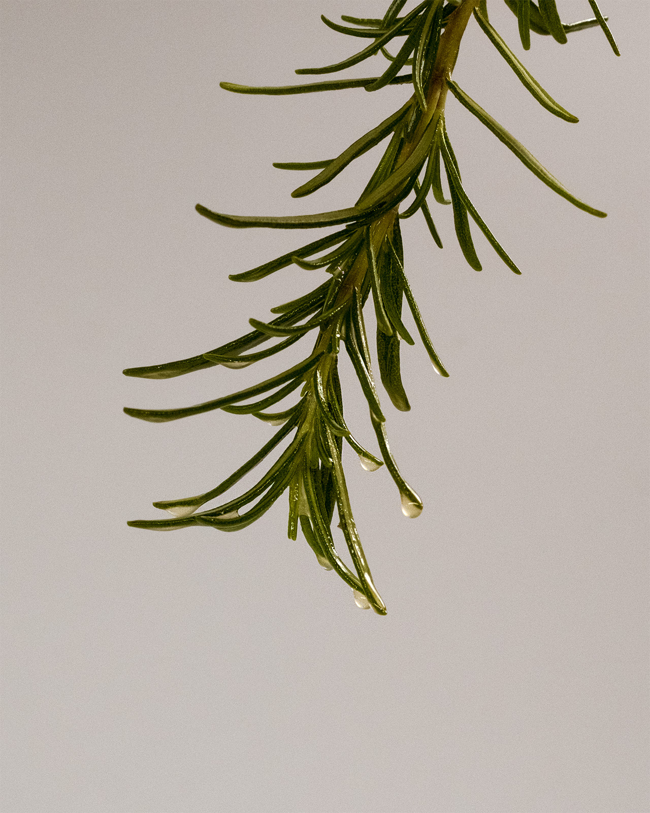 Kapitel II: Zwei-Phasen-Serum – Bild 3