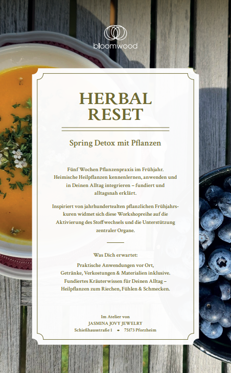 Herbal Reset Workshop Beschreibung – bloomwood Heilpflanzen-Workshopreihe Details und Programm