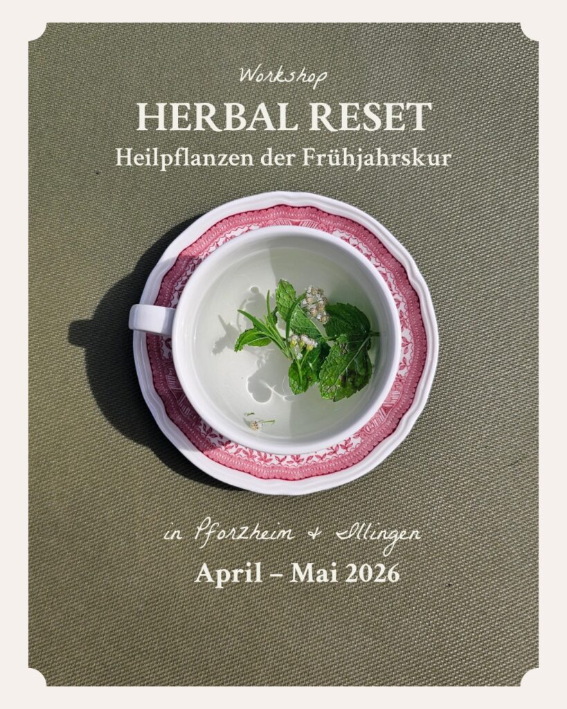 Workshop Herbal Reset