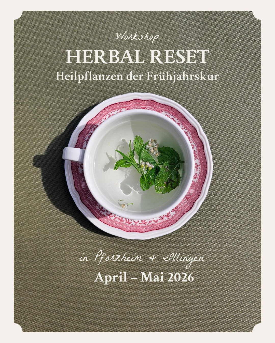 Workshop Herbal Reset